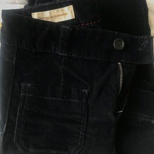 Pilcro and the Letterpress velvet pants